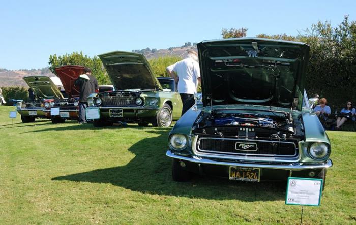  Mustang & Shelby (10 ) 