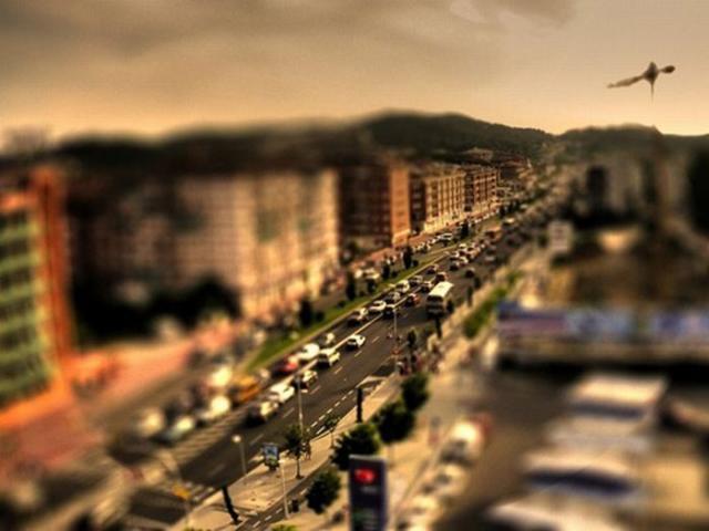     Tilt-Shift (40 )