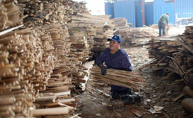 Жизнь поставила женщину на колени (15 фото) Жизнь поставила женщину на колени (15 фото)