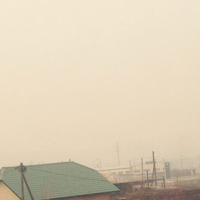       Instagram (20 )