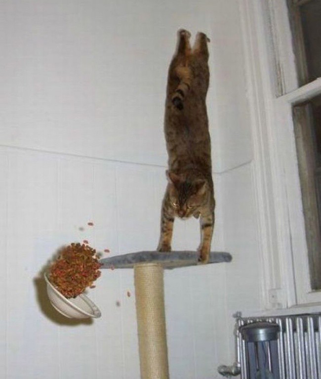 ,       (39 )