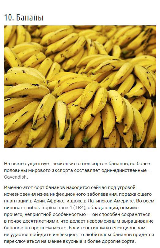 Ресурсы нашей планеты, которых мы можем лишиться (10 фото) Ресурсы нашей планеты, которых мы можем лишиться (10 фото)