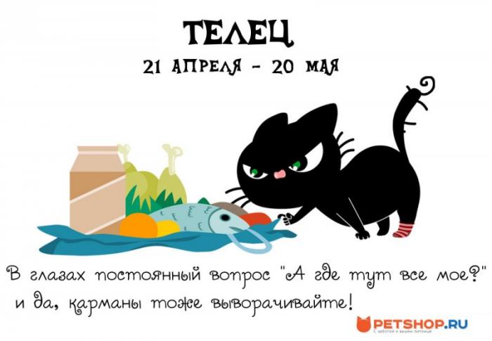 Котячий гороскоп (12 фото) Котячий гороскоп (12 фото)