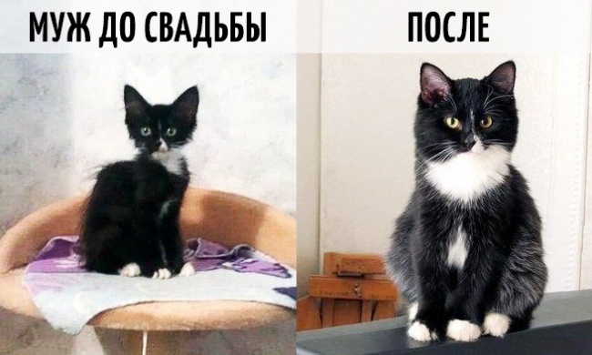 9 фотографий о том, как меняется жизнь после свадьбы (9 фото) 9 фотографий о том, как меняется жизнь после свадьбы (9 фото)