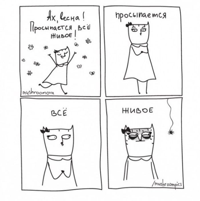     (12 )