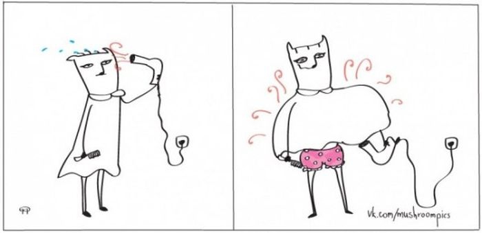     (12 )