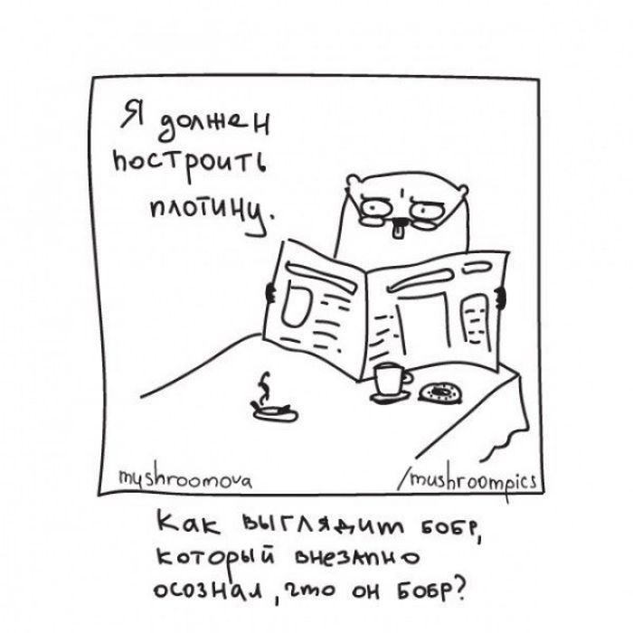     (12 )