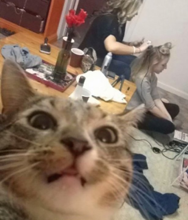   (28 )
