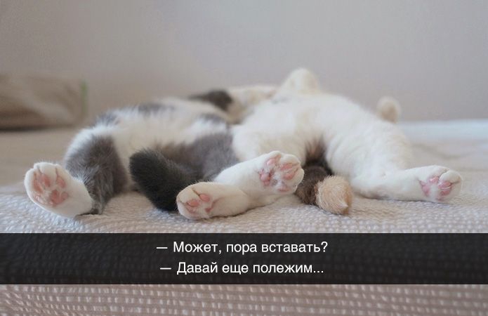 ,      (25 )