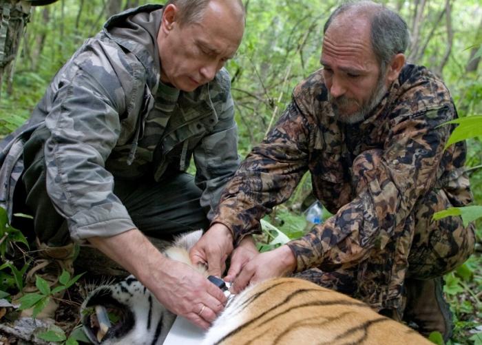 Животные Путина: кто они? (6 фото) Животные Путина: кто они? (6 фото)