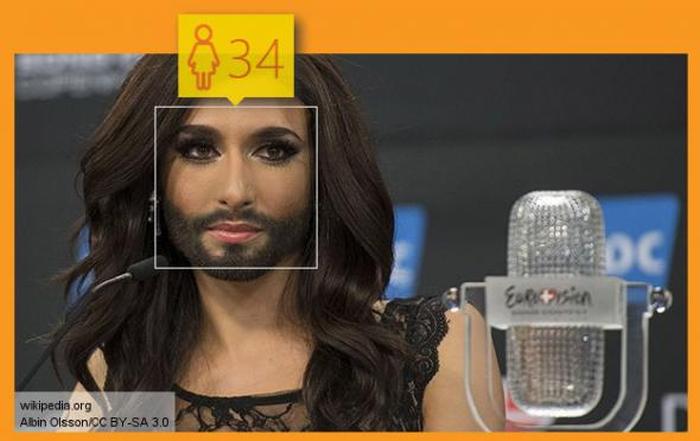  Microsoft,        (29 )