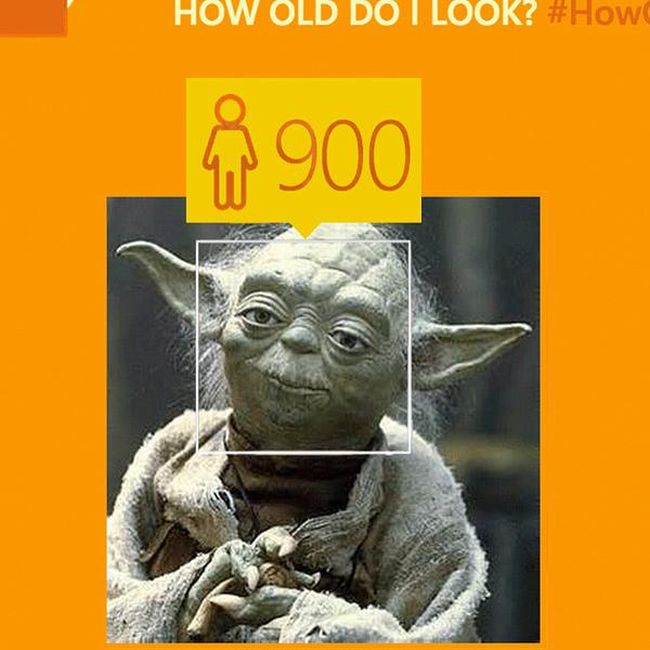  Microsoft,        (29 )