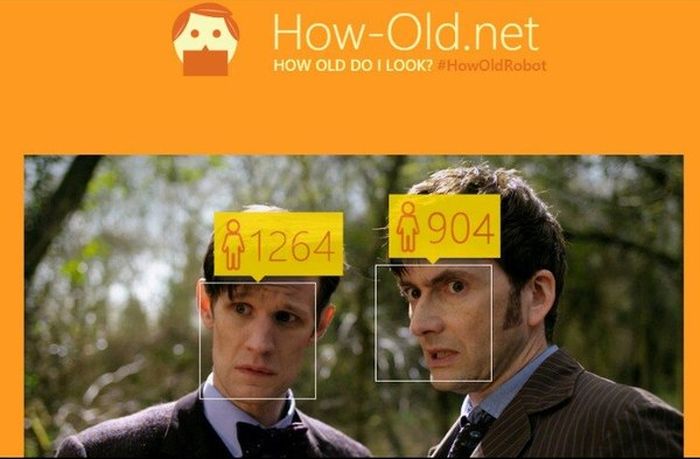  Microsoft,        (29 )