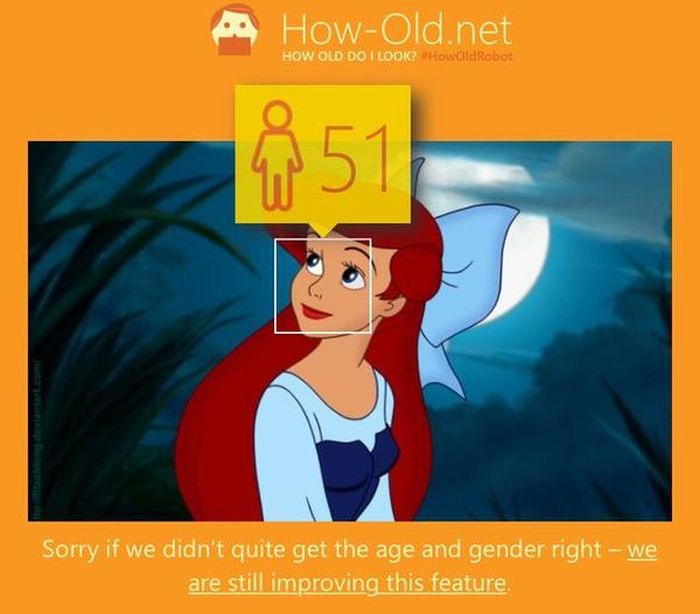  Microsoft,        (29 )