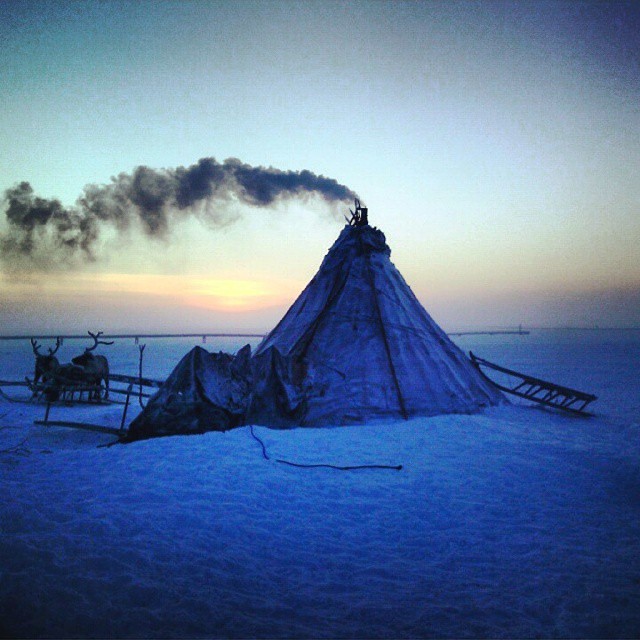     Instagram (24 )