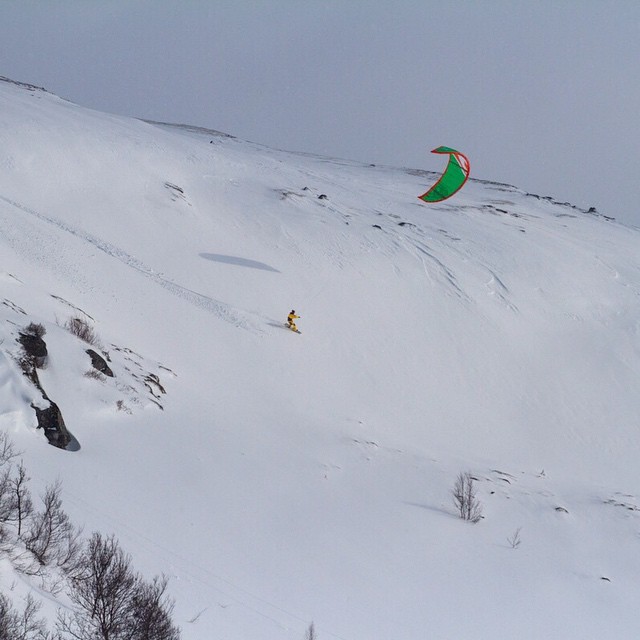     Instagram (24 )