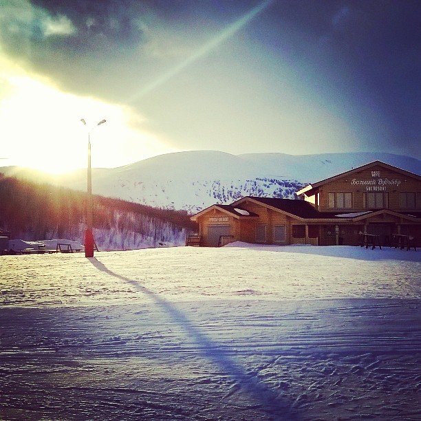     Instagram (24 )