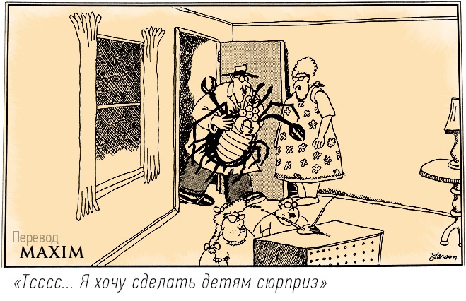 Карикатуры Гэри Ларсона — лучшего из смешных (16 фото) Карикатуры Гэри Ларсона — лучшего из смешных (16 фото)