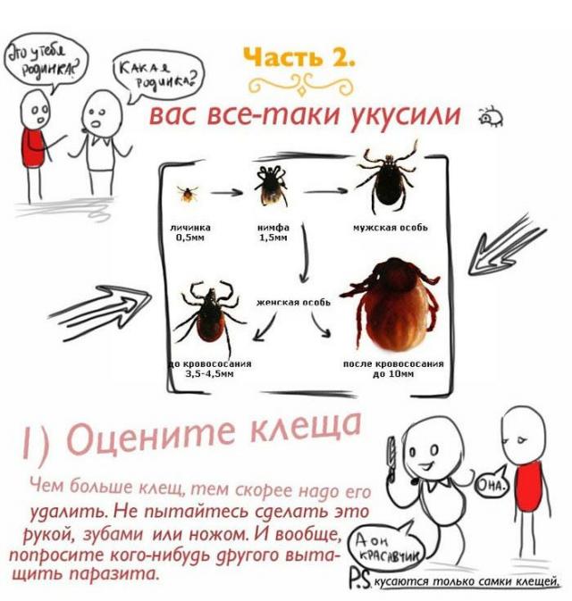       (10 )
