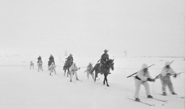 1939 - 1945  (50 )
