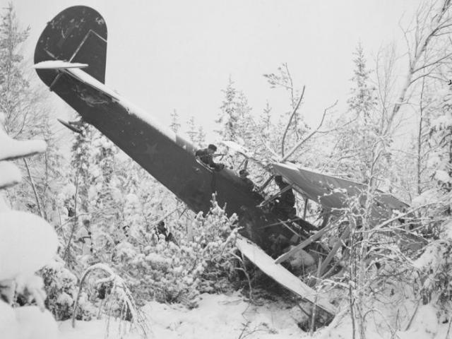  1939 - 1945  (50 )