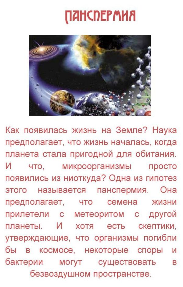       (10 )