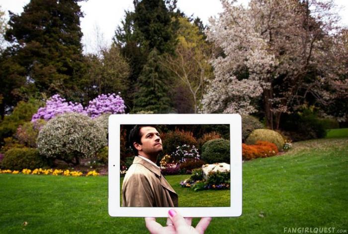       IPad (26 )