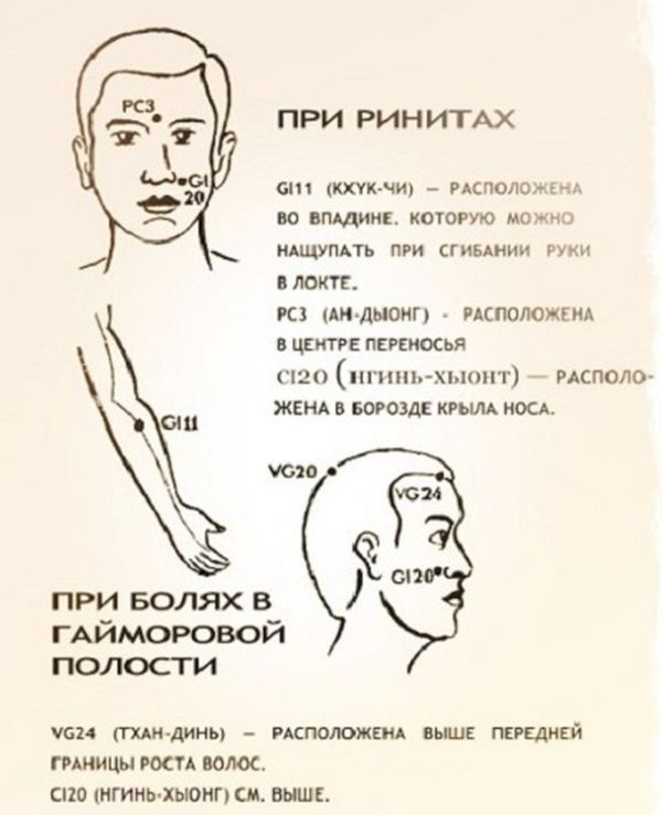 Уникальные свойства бальзама «Звездочка» (7 фото) Уникальные свойства бальзама «Звездочка» (7 фото)