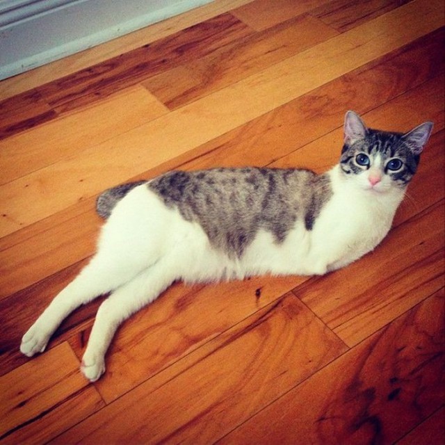 -       Instagram (13 )