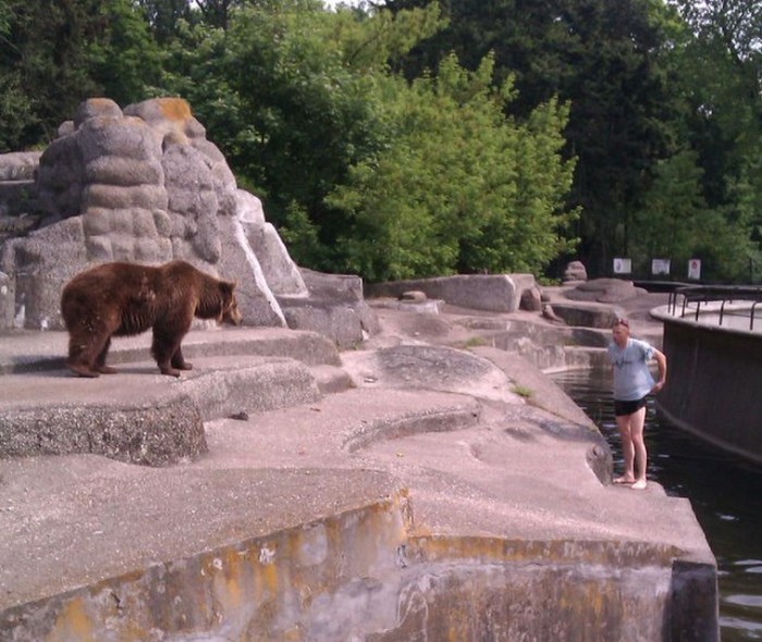 В варшавском зоопарке пьяный мужик залез в вольер к медведице (3 фото) В варшавском зоопарке пьяный мужик залез в вольер к медведице (3 фото)