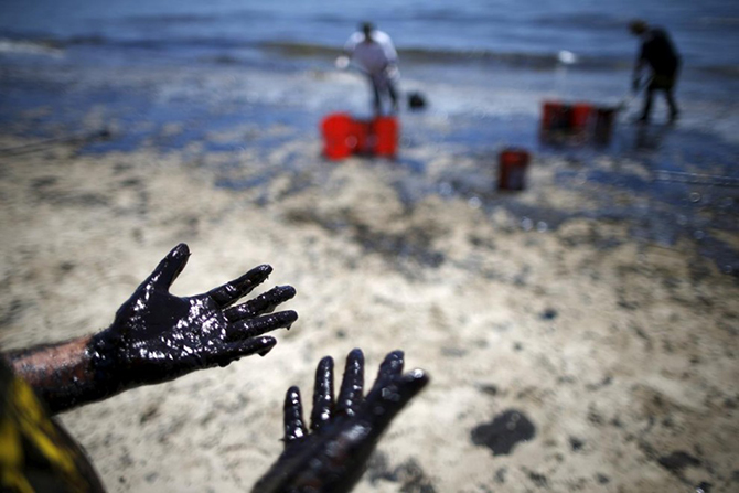 Последствия разлива нефти в Калифорнии (30 фото)