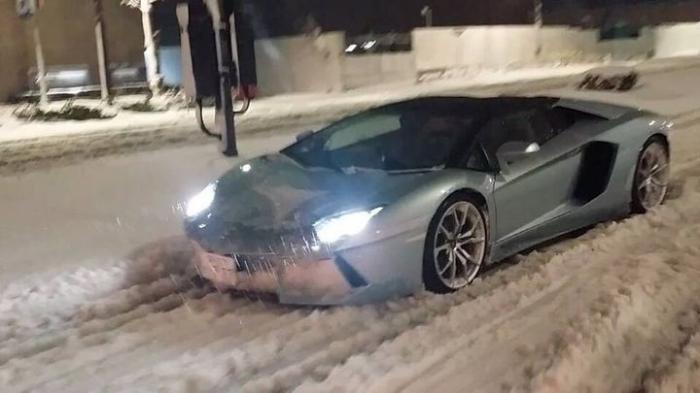     Lamborghini (7 )