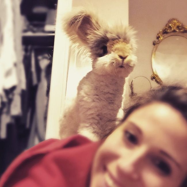      Instagram (10 )