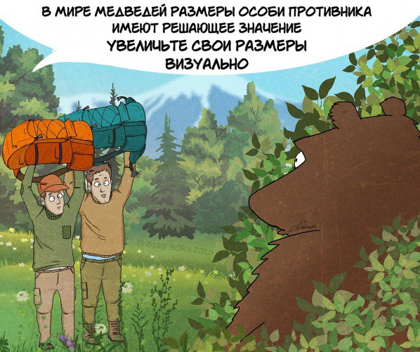 10 фактов, которые вам нужно знать о медведях (10 фото)