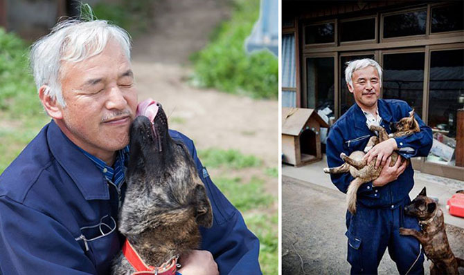 Японец живет в зоне отчуждения ради животных (10 фото)