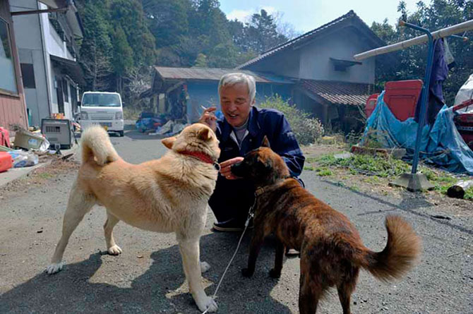 Японец живет в зоне отчуждения ради животных (10 фото)