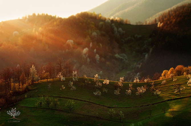 Сказочные места Румынии (19 фото)