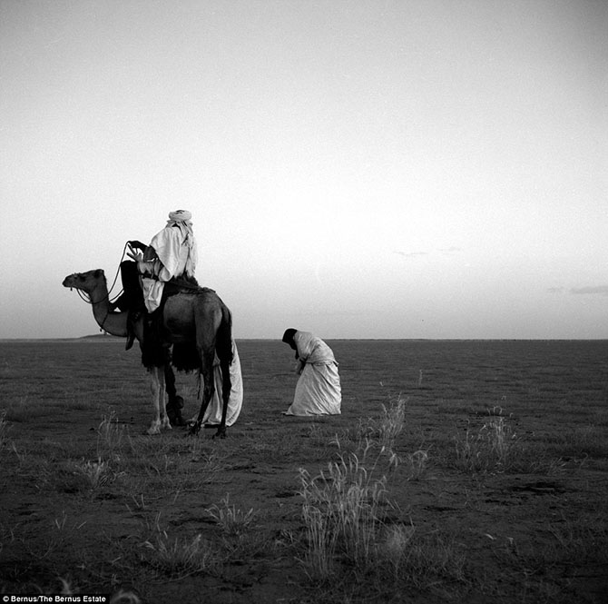 Африканский народ туареги, у которых царит матриархат (20 фото)