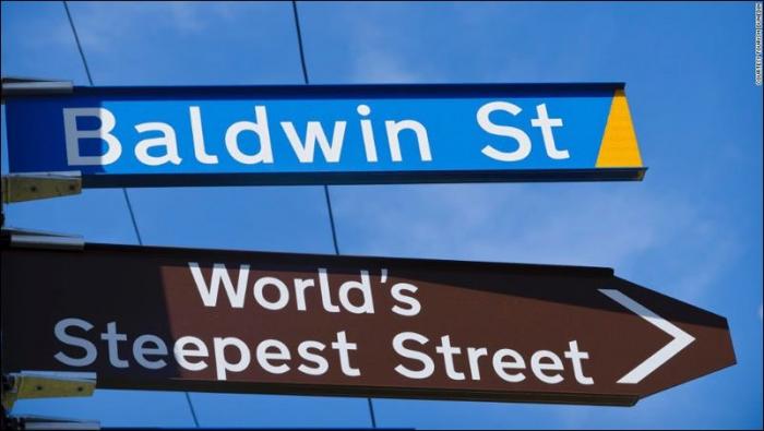 Болдуин-cтрит — самая крутая улица в мире ( 7 фото)