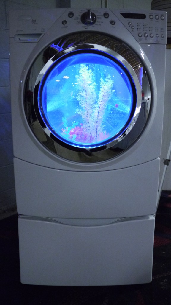 Аквариум в стиральной машине (9 фото)