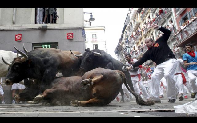 Испанские забеги с быками (15 фото)