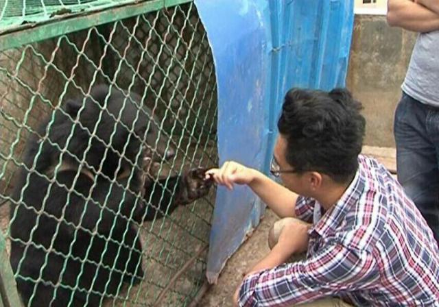 Китаец два года принимал медведей за домашних собак (5 фото)