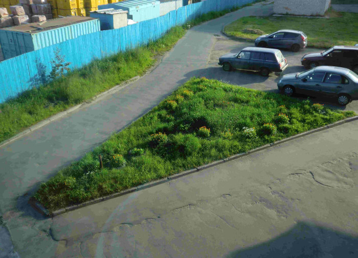 Клумба, как средство борьбы с любителями парковки на газонах (11 фото)