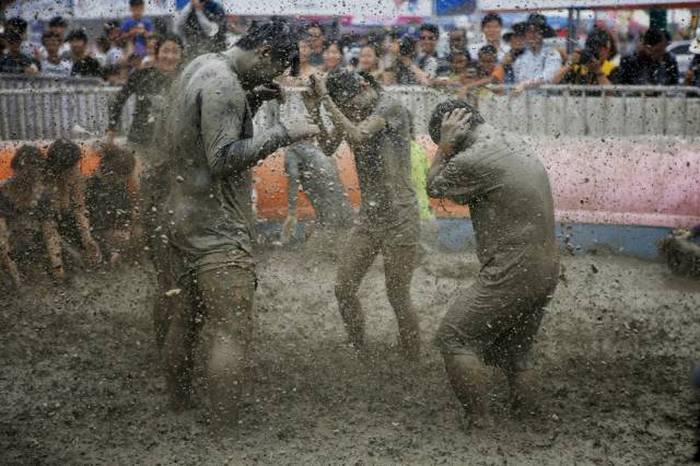 Boryeong Mud Festival      (28 )
