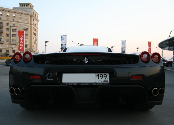 Ferrari Enzo   (17 )