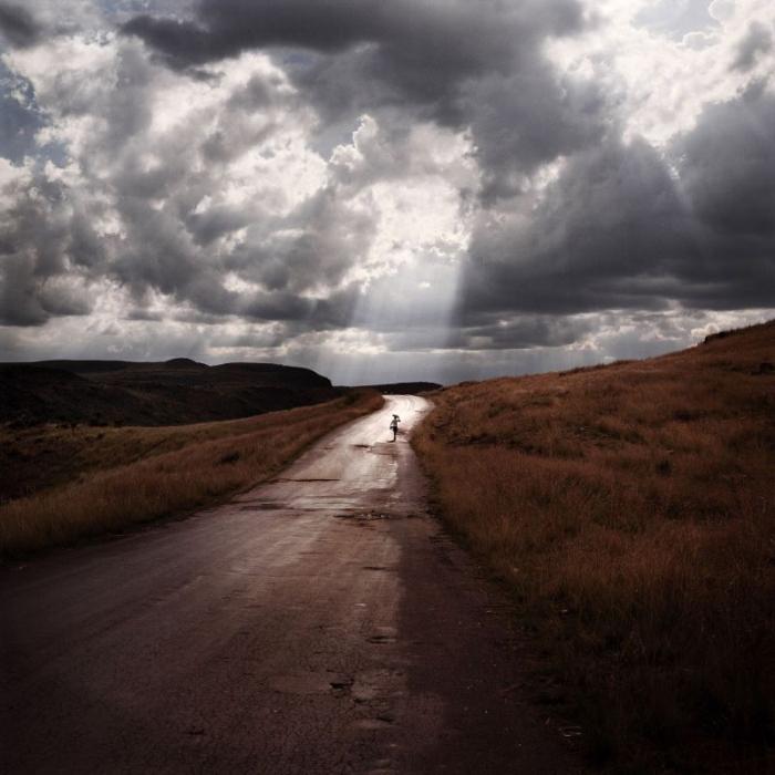   Sony World Photography Awards  (26 )