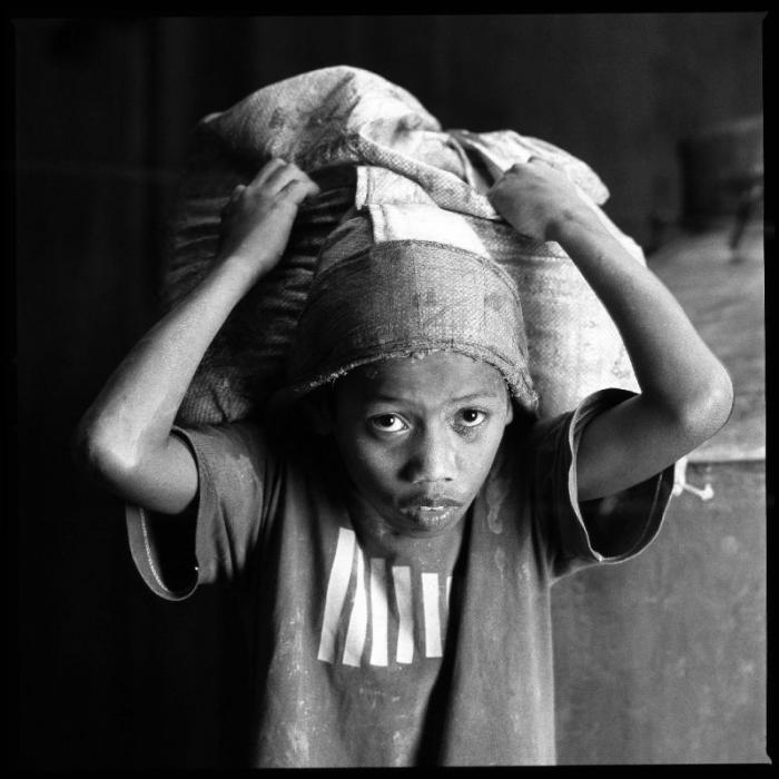   Sony World Photography Awards  (26 )