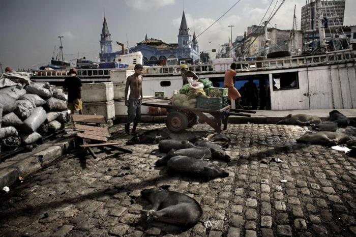   Sony World Photography Awards  (26 )