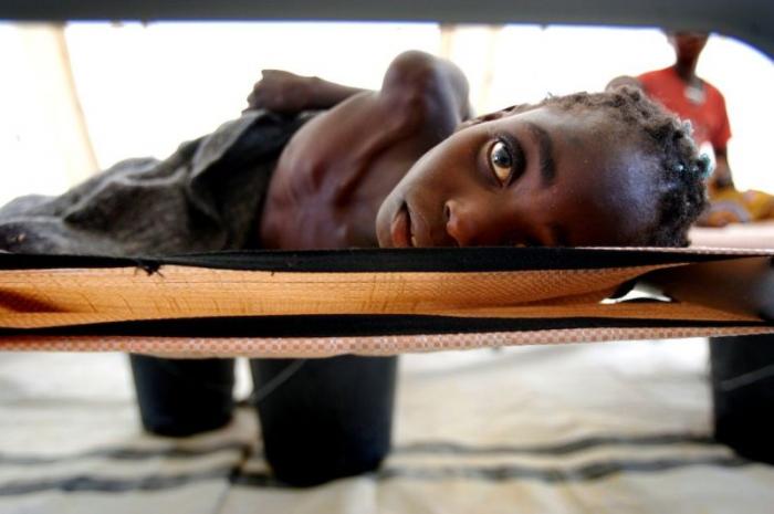   Sony World Photography Awards  (26 )