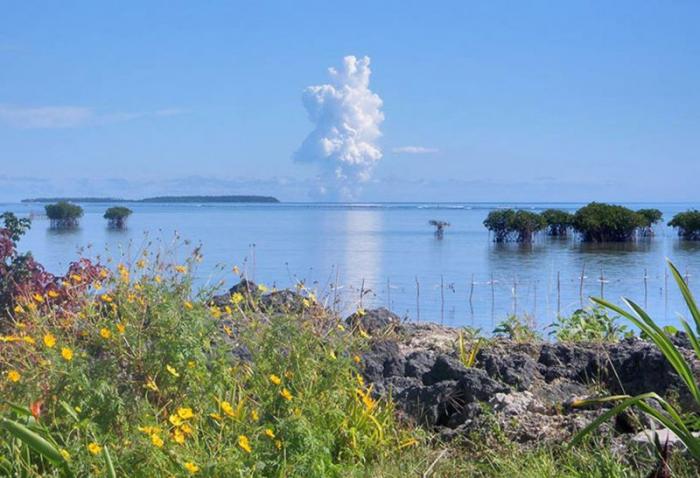     Tonga (12 )